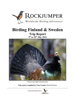 Birding Finland & Sweden