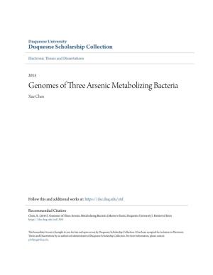 Genomes of Three Arsenic Metabolizing Bacteria Xue Chen