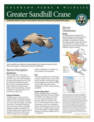 Greater Sandhill Crane ASSESSING HABITAT QUALITY for PRIORITY WILDLIFE SPECIES in COLORADO WETLANDS