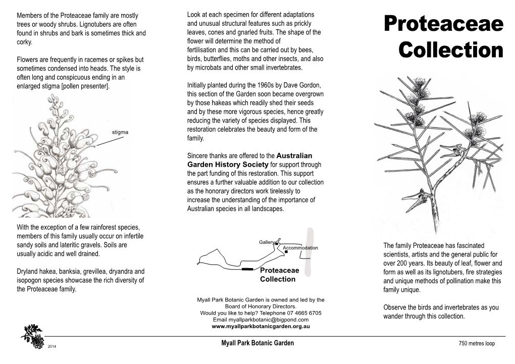 2014 Proteaceae Collection Brochure