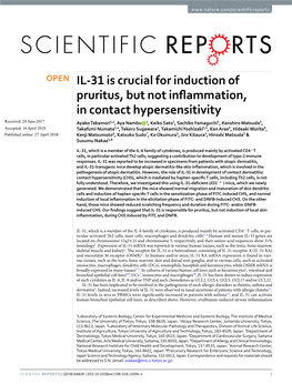 IL-31 Is Crucial for Induction of Pruritus, but Not Inflammation, In