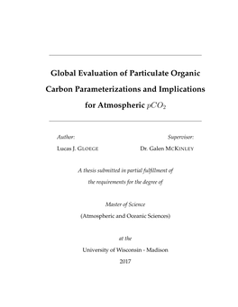 Global Evaluation of Particulate Organic Carbon Parameterizations and Implications