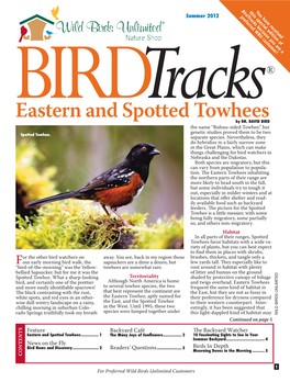 Eastern and Spotted Towhees the Window