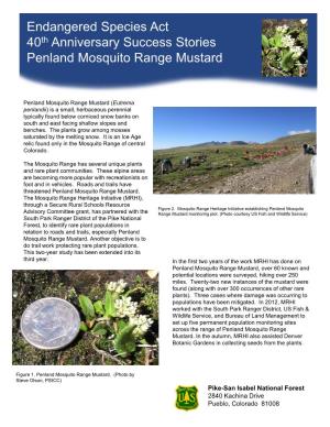 Penland Mosquito Range Mustard
