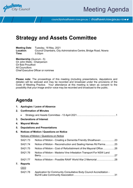 Agenda of Strategy and Assets Committee