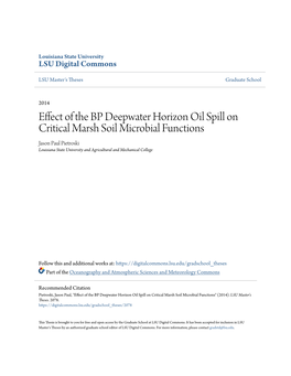 Effect of the BP Deepwater Horizon Oil Spill on Critical Marsh Soil Microbial Functions