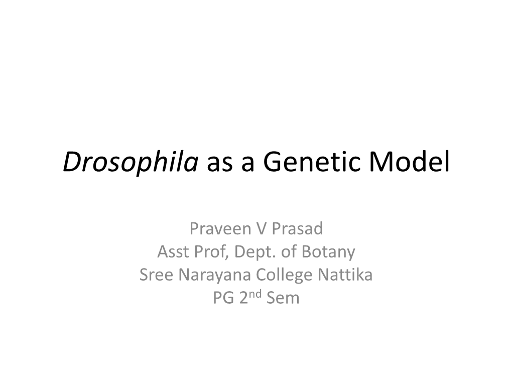 Drosophila As a Genetic Model