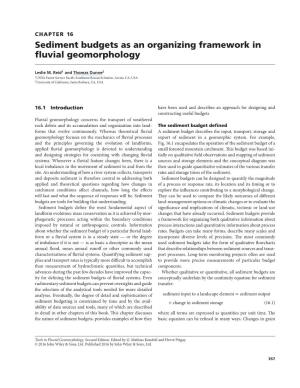 Sediment Budgets As an Organizing Framework in Fluvial Geomorphology