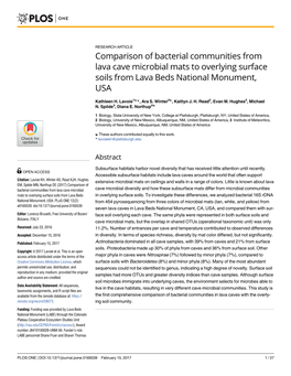 Comparison of Bacterial Communities from Lava Cave Microbial Mats to Overlying Surface Soils from Lava Beds National Monument, USA