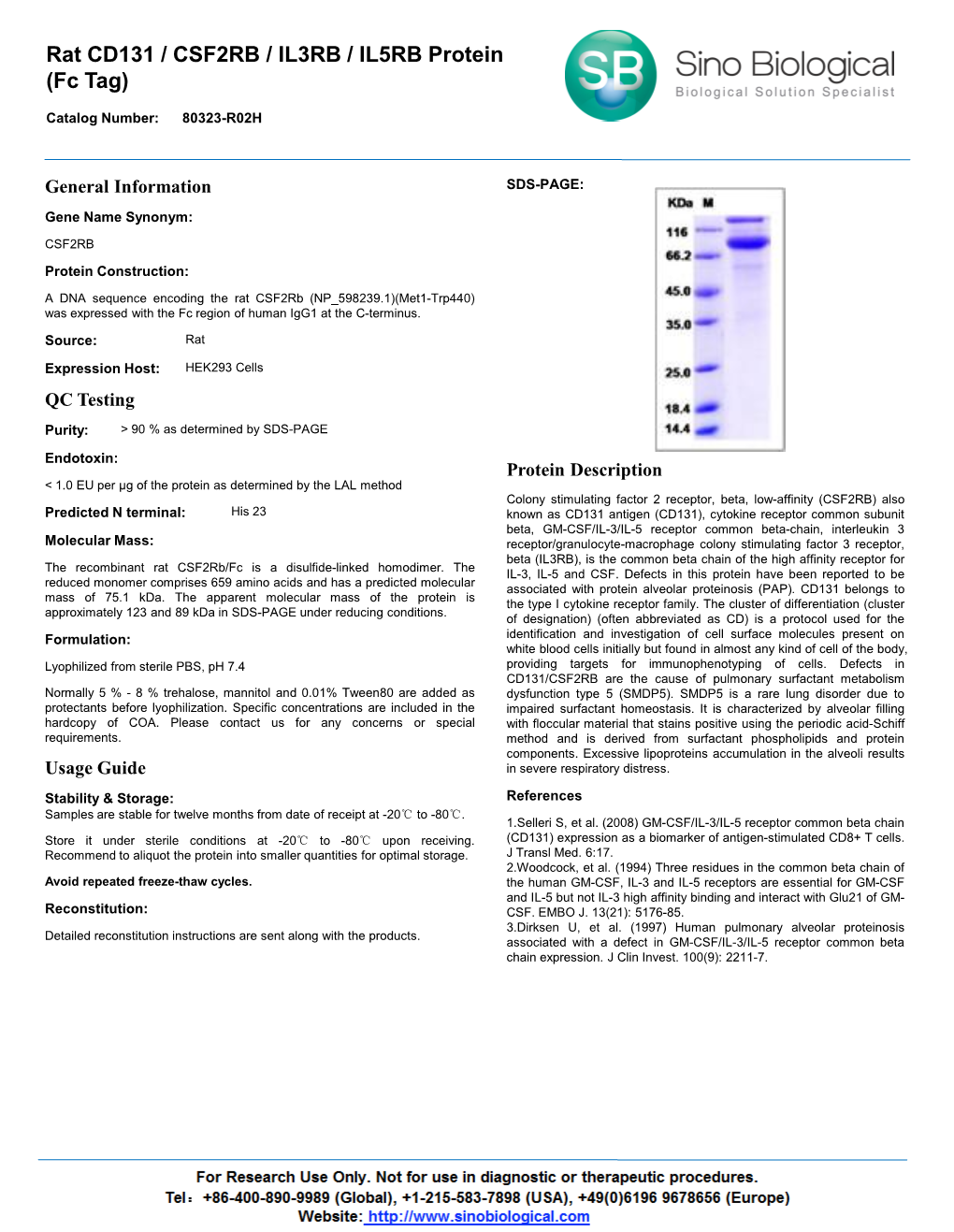 Rat CD131 / CSF2RB / IL3RB / IL5RB Protein (Fc Tag)