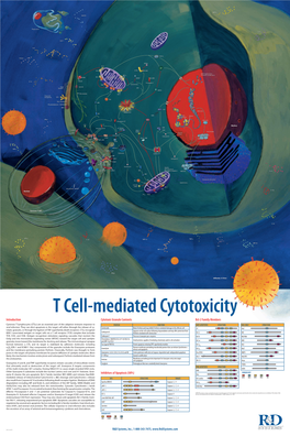 Introduction Cytotoxic Granule Contents Inhibitors of Apoptosis