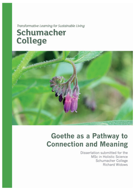 Goethe As a Path to Connection