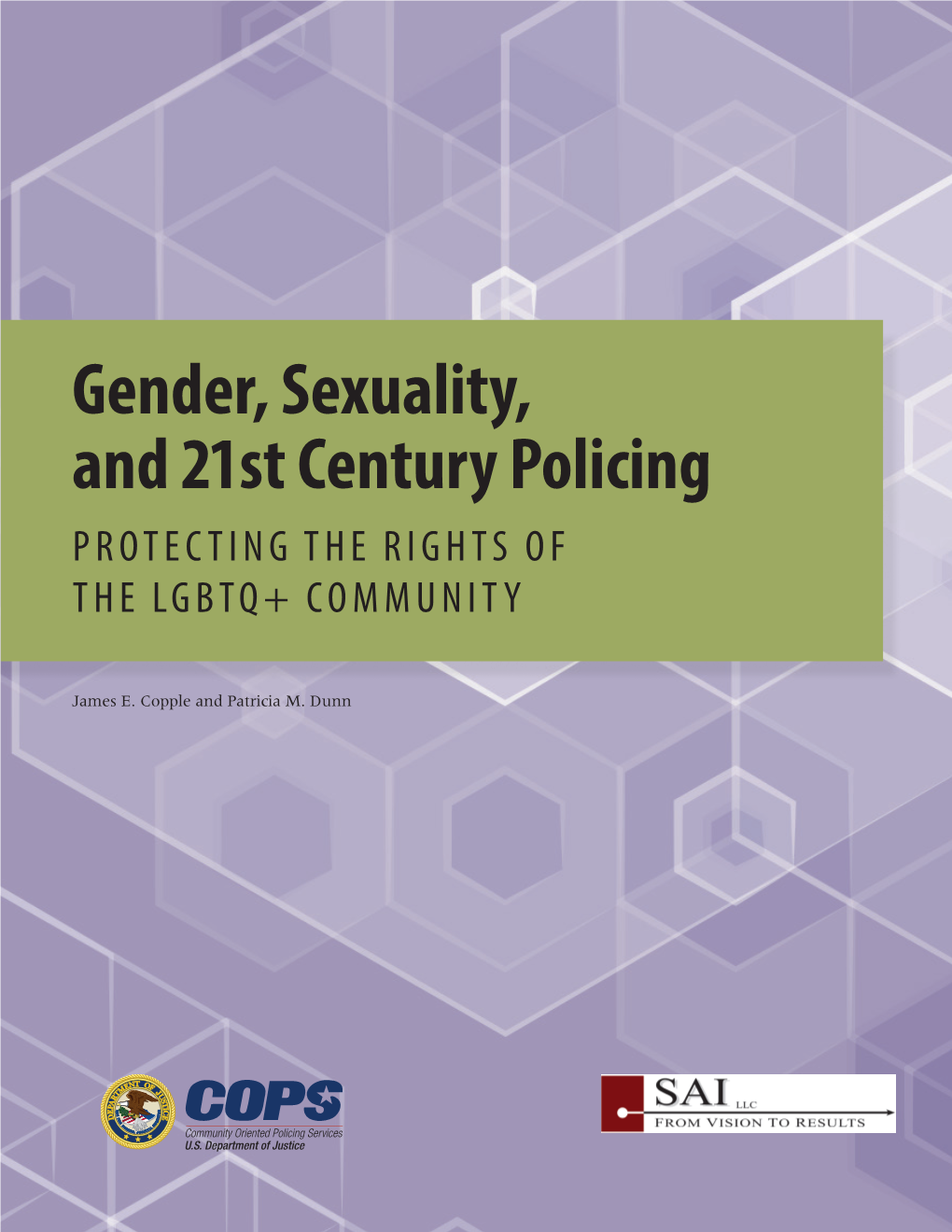 Gender, Sexuality, and 21St Century Policing PROTECTING the RIGHTS of the LGBTQ+ COMMUNITY