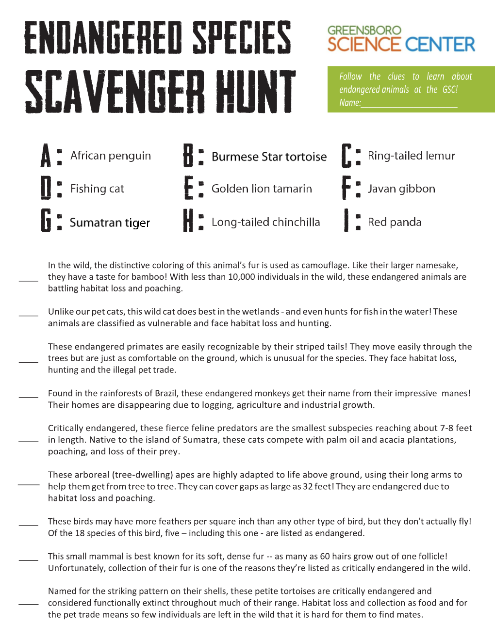 Scavenger Hunt