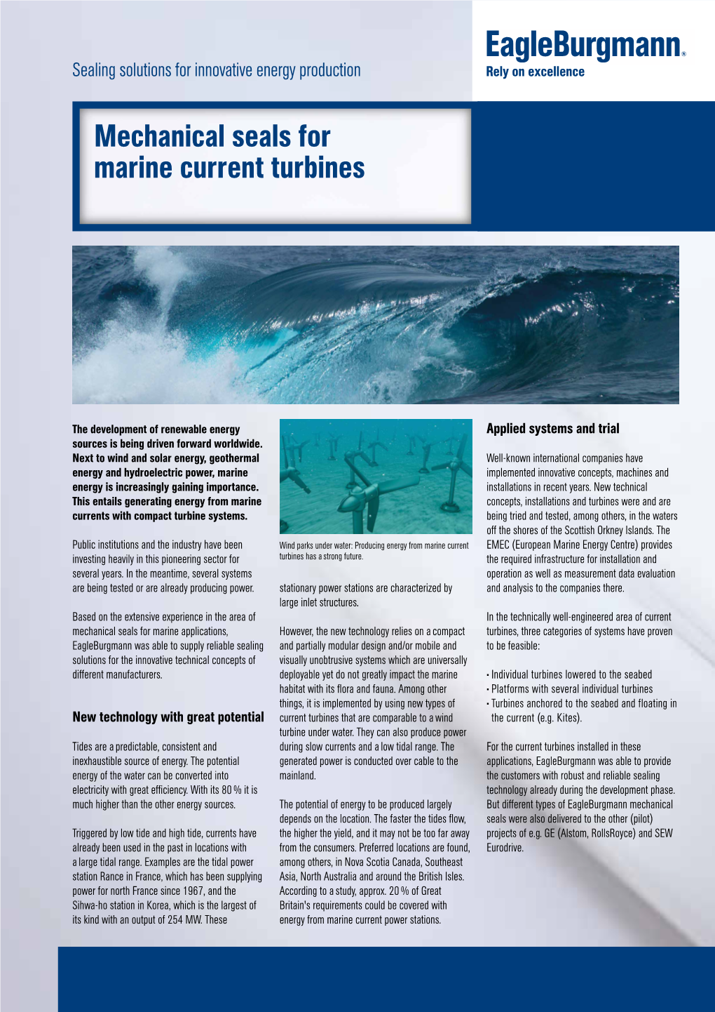Solution: Mechanical Seals for Marine Current Turbines