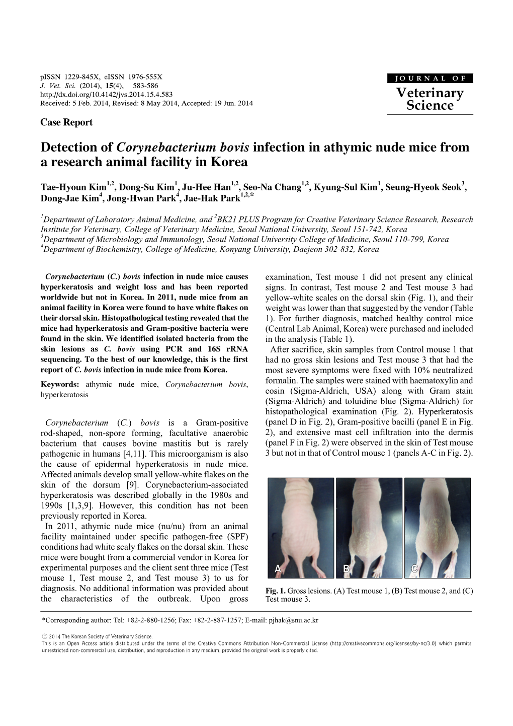 Detection of Corynebacterium Bovis Infection in Athymic Nude Mice from a Research Animal Facility in Korea