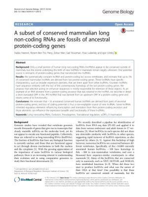 A Subset of Conserved Mammalian Long Non-Coding Rnas Are Fossils Of