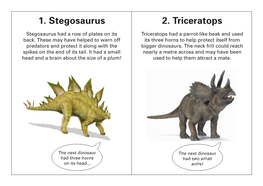 Nature Tots Dinosaur Cards