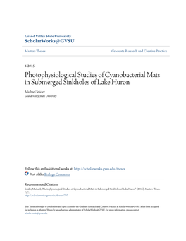 Photophysiological Studies of Cyanobacterial Mats in Submerged Sinkholes of Lake Huron Michael Snider Grand Valley State University