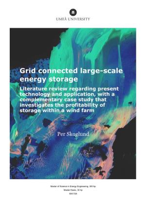Grid Connected Large-Scale Energy Storage