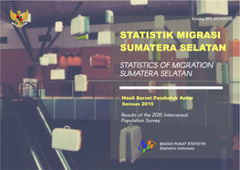 Statistik Migrasi Sumatera Selatan