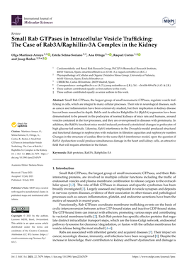 Small Rab Gtpases in Intracellular Vesicle Trafficking:The Case Of