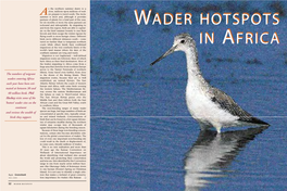 Wader Hotspots in Africa Wader Hotspots in Africa
