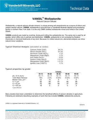 VANSIL Wollastonite Is Sourced from a Vanderbilt Minerals Deposit and Processing Facility in Northern New York State