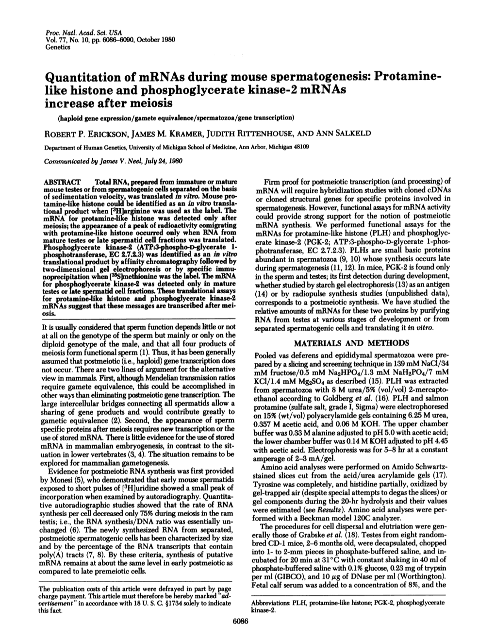 Quantitation Ofmrnas During Mouse Spermatogenesis: Protamine- Like Histone and Phosphoglycerate Kinase-2 Mrnas Increase After Me