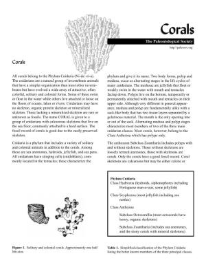 Coralscorals the Paleontological Society Http:\\Paleosoc.Org