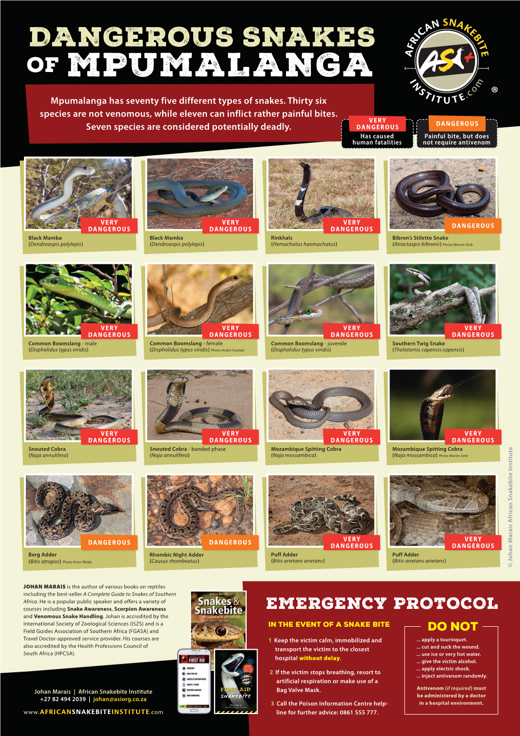 MPUMALANGA Mpumalanga Has Seventy Five Different Types of Snakes