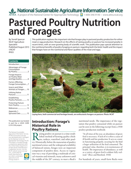 Pastured Poultry Nutrition and Forages