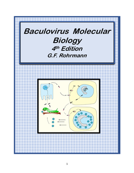Baculovirus Molecular Biology