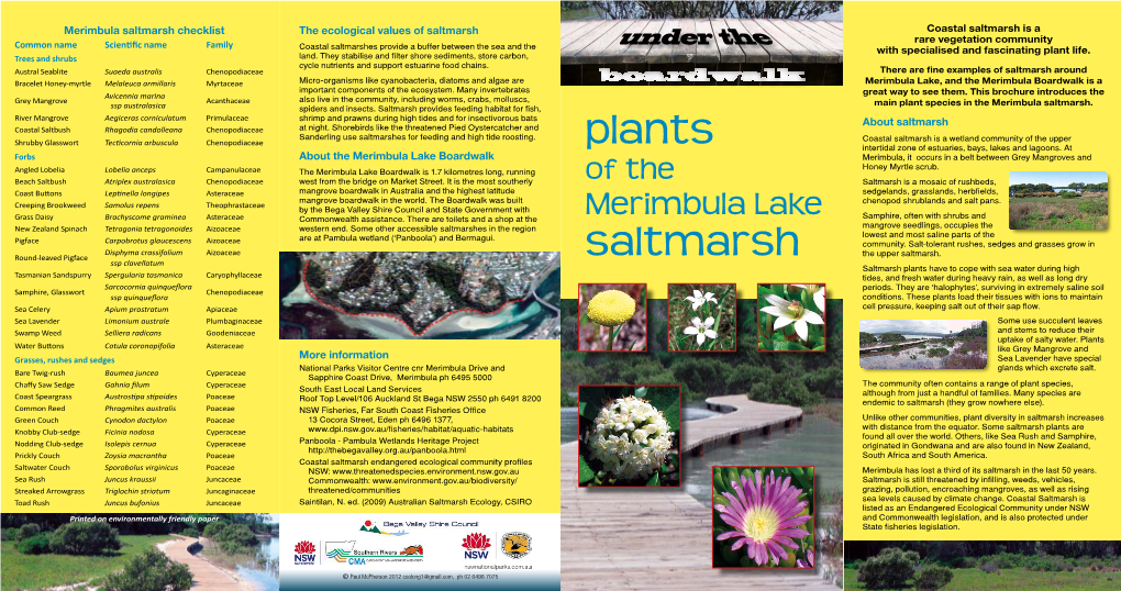 Under the Boardwalk, Plants of the Merimbula Lake Saltmarsh (Pdf)
