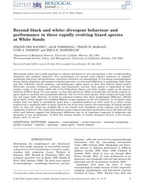 Beyond Black and White: Divergent Behaviour and Performance in Three Rapidly Evolving Lizard Species at White Sands
