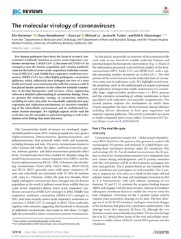 The Molecular Virology of Coronaviruses