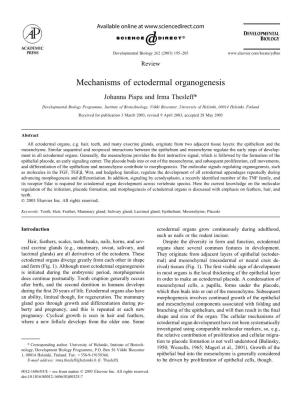 Mechanisms of Ectodermal Organogenesis