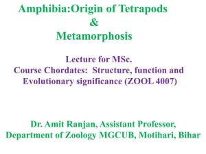 Amphibia:Origin of Tetrapods & Metamorphosis by Dr. Amit Ranjan