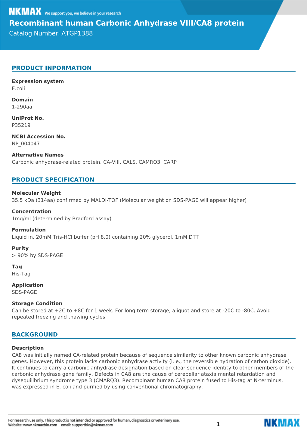 Recombinant Human Carbonic Anhydrase VIII/CA8 Protein Catalog Number: ATGP1388