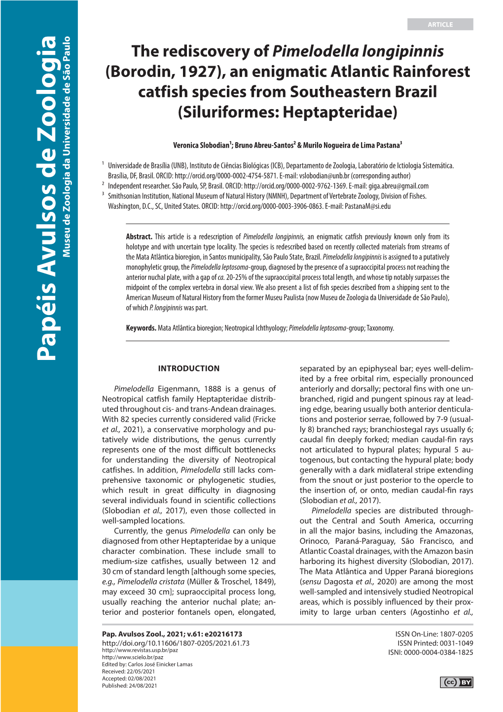 The Rediscovery of Pimelodella Longipinnis (Borodin, 1927), an Enigmatic Atlantic Rainforest Catfish Species from Southeastern Brazil (Siluriformes: Heptapteridae)