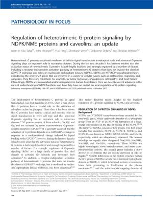 Regulation of Heterotrimeric G-Protein Signaling by NDPK/NME Proteins and Caveolins