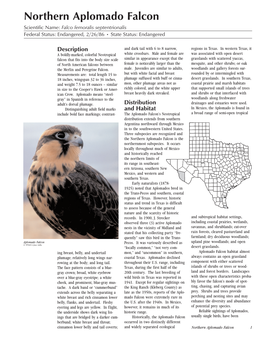 Northern Aplomado Falcon Scientific Name: Falco Femoralis Septentrionalis Federal Status: Endangered, 2/26/86 • State Status: Endangered