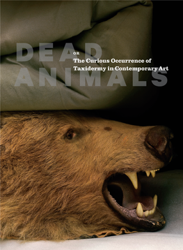 The Curious Occurrence of Taxidermy in Contemporary Art DEAD ANIMALS in Memory of Tootie, Who Followed Me Anywhere, After She Showed Me the Way JAC