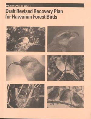Draft Revised Recovery Plan for Hawaiian Forest Birds