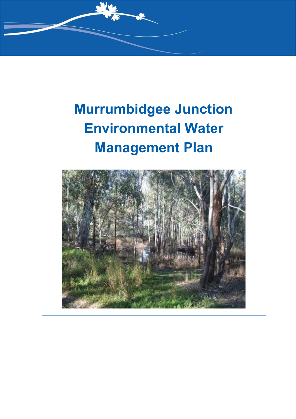 Murrumbidgee Junction Environmental Water Management Plan