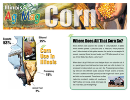 Corn Go? Illinois Farmers Rank Second in the Country in Corn Production