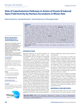 Role of Catecholamine Pathways in Action of Orexin B Induced Open Field Activity by Nucleus Accumbens in Wistar Rats