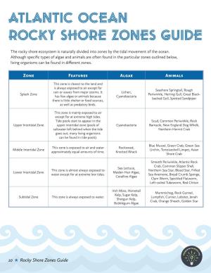 Atlantic Ocean Rocky Shore Zones Guide