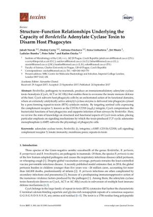 Structure–Function Relationships Underlying the Capacity of Bordetella Adenylate Cyclase Toxin to Disarm Host Phagocytes