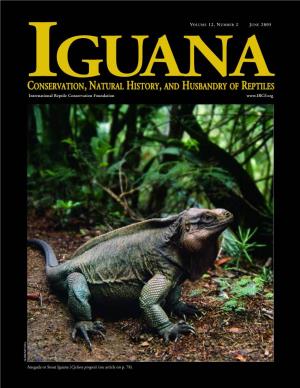 Iguana 12.2 B&W Text